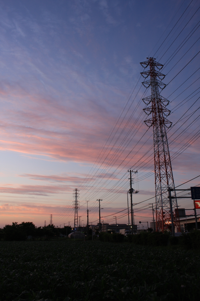 f:id:kumowasukidesuka:20210531203114j:plain