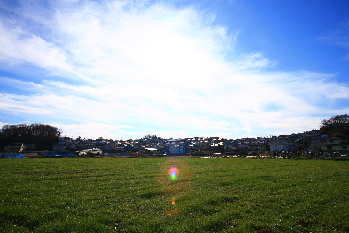 f:id:kumowasukidesuka:20220110204510j:plain