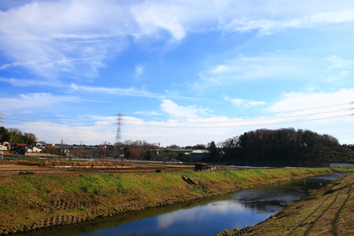 f:id:kumowasukidesuka:20220110205019j:plain