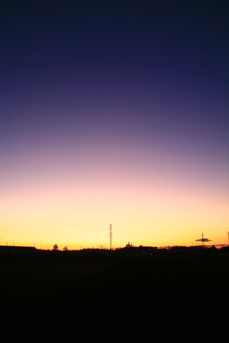 f:id:kumowasukidesuka:20220119210215j:plain