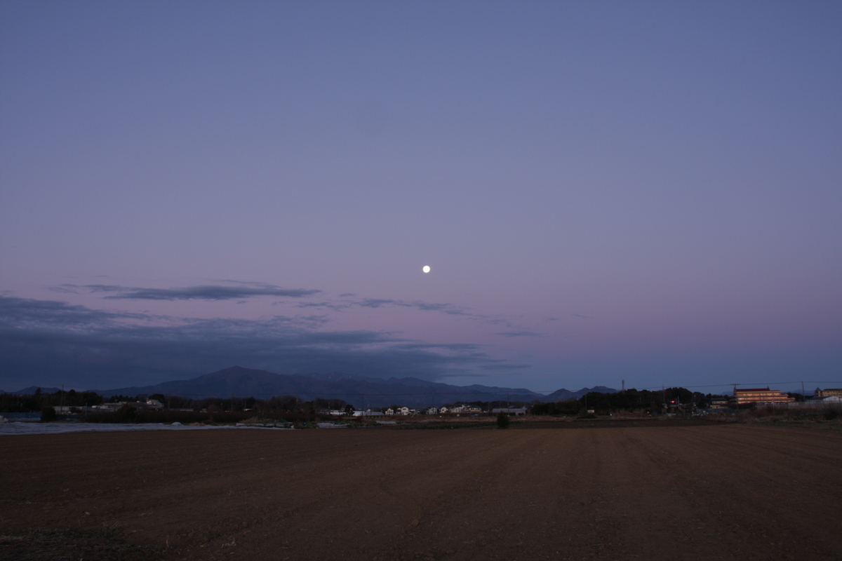 f:id:kumowasukidesuka:20220119210355j:plain