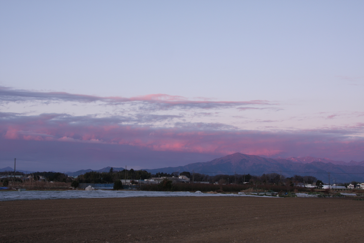 f:id:kumowasukidesuka:20220119210614j:plain