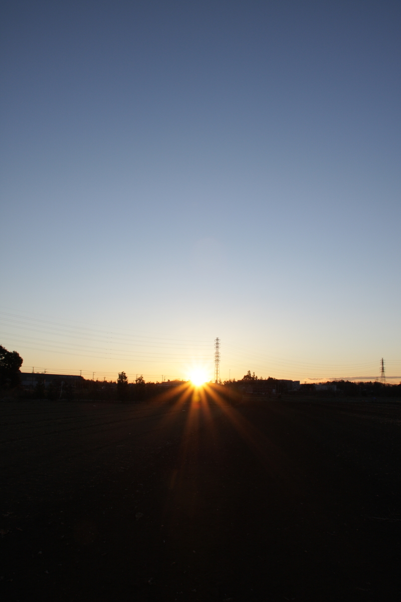 f:id:kumowasukidesuka:20220119211406j:plain