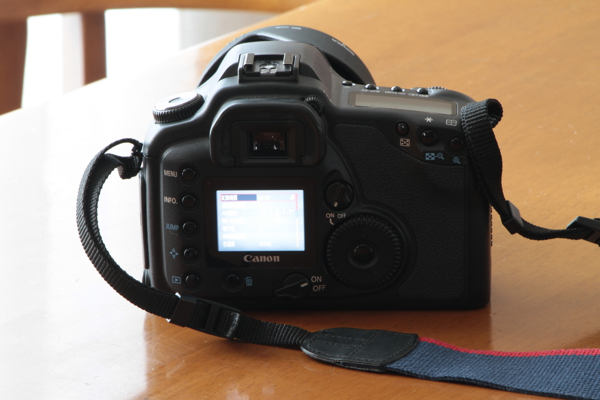 ✨Canon EOS 10D ボディ【動作品】クラシックな写りと操作感✨ Amazon | Canon EOS 10D ボディ単体 | デジタル一眼レフ 通販