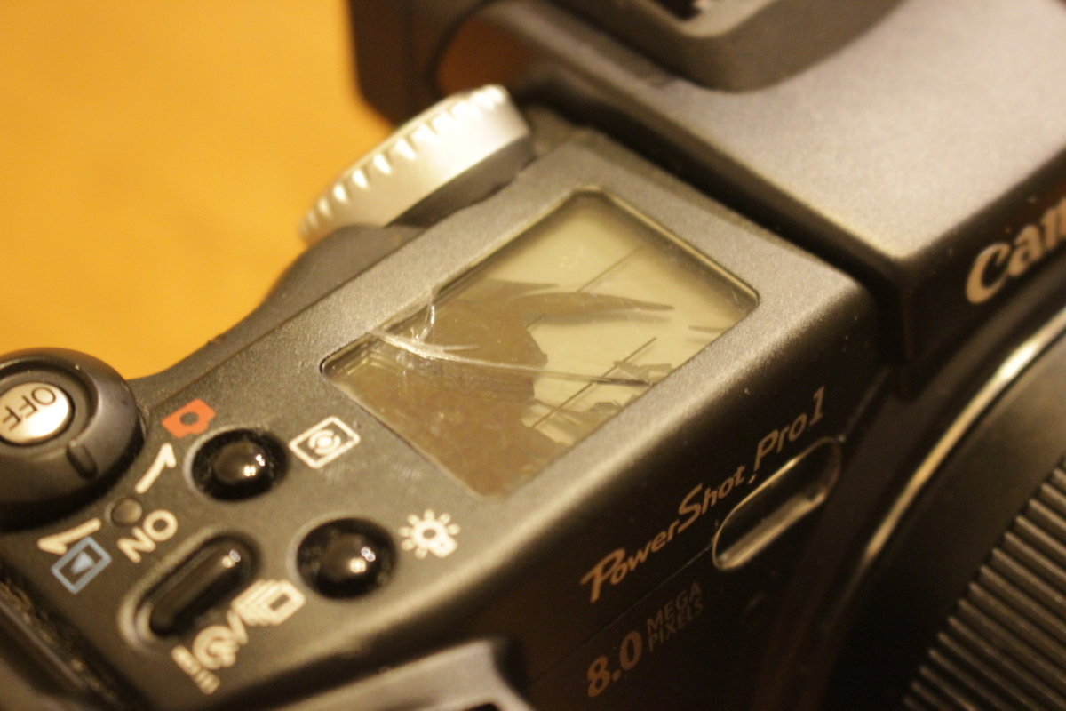 CANON PowerShot Pro1～機材紹介その16『災い転じて福と成せ』 - 雲は 