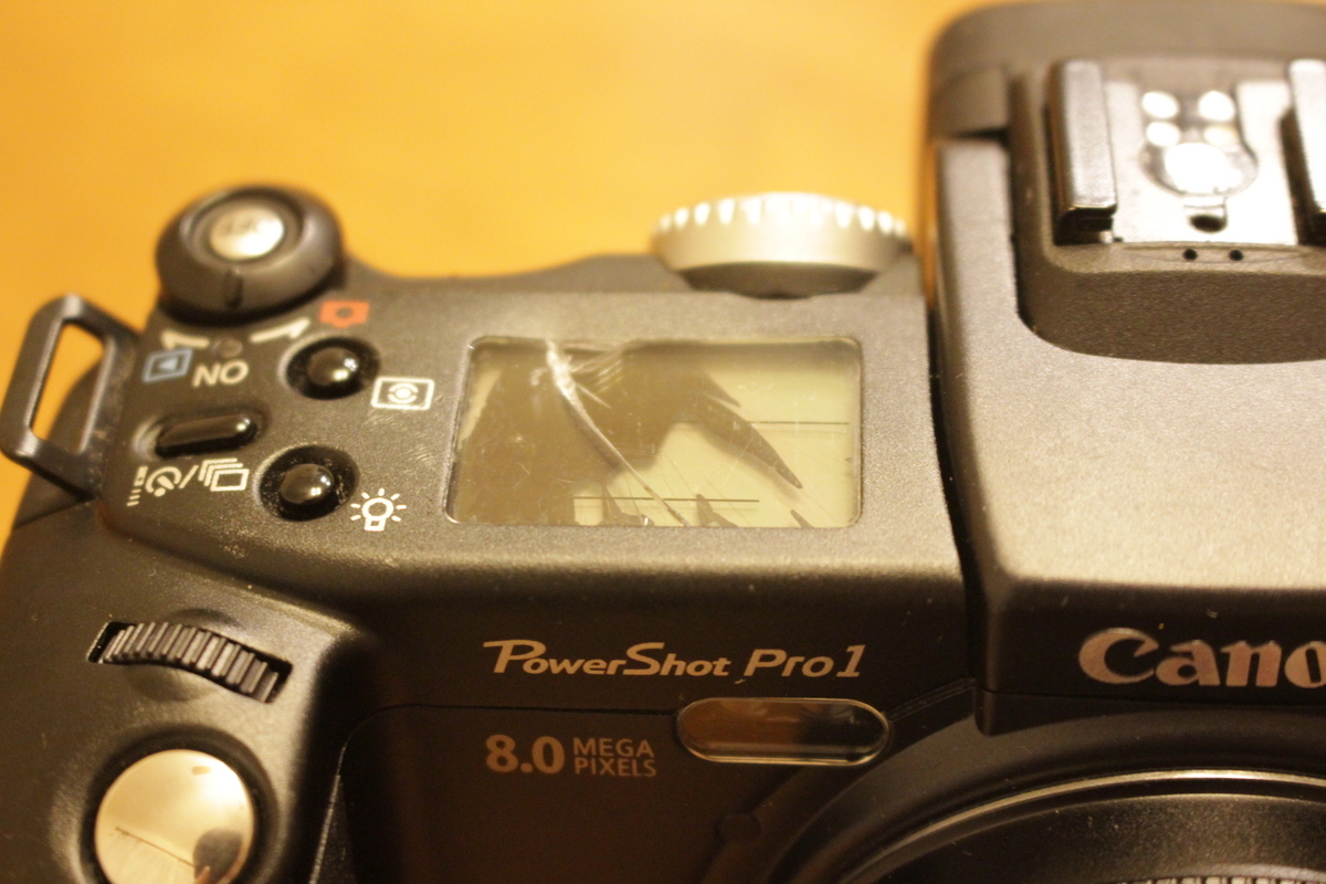 CANON PowerShot Pro1～機材紹介その16『災い転じて福と成せ