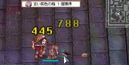 f:id:kumu:20051028055817j:image f:id:kumu:20051028055817j:image