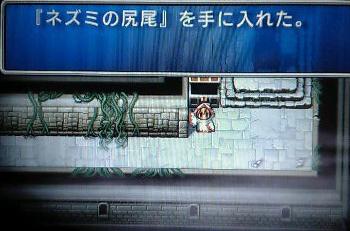 f:id:kumu:20070426085208j:image