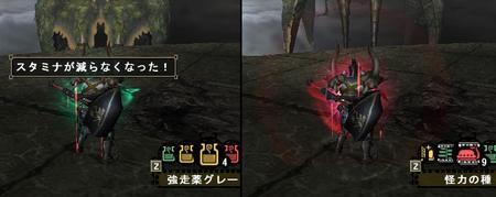 f:id:kumu:20071105150409j:image f:id:kumu:20071105150409j:image
