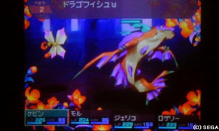 f:id:kumu:20090415174827j:image