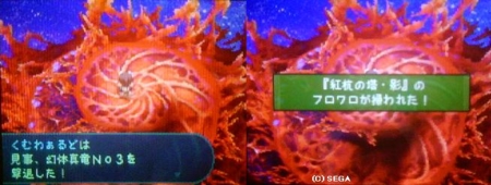 f:id:kumu:20090427180500j:image f:id:kumu:20090427180500j:image