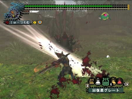 f:id:kumu:20090526053623j:image