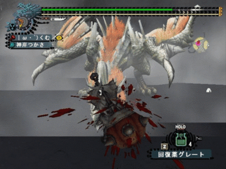 f:id:kumu:20100624130554g:image f:id:kumu:20100624130554g:image