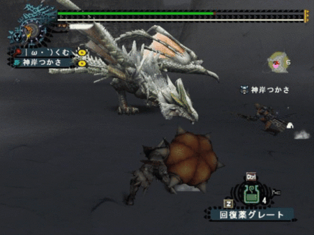 f:id:kumu:20100624130837g:image f:id:kumu:20100624130837g:image