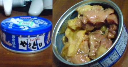 f:id:kumu:20100626152637j:image