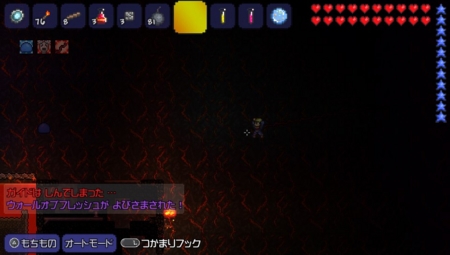 テラリア くむのなんとなくきまぐれに 自由奔放な人の日記