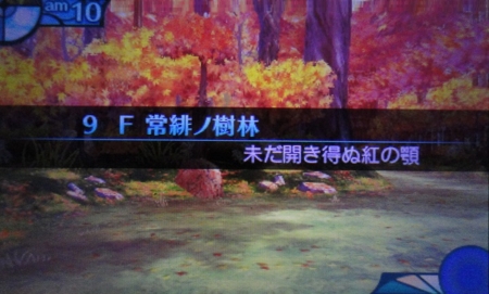 f:id:kumu:20141226081133j:image