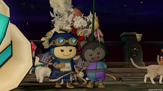 f:id:kumu:20190514003839j:image f:id:kumu:20190514003839j:image