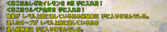 f:id:kumu:20190522033432p:image
