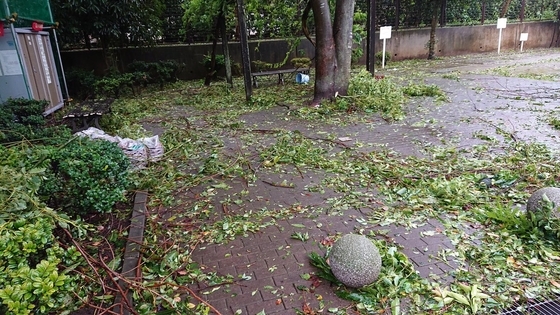f:id:kumu:20190909155135j:image