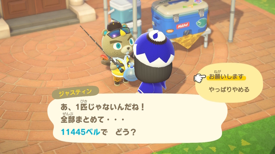 f:id:kumu:20200411152420j:image