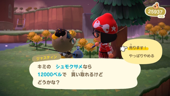 f:id:kumu:20200601211729j:image f:id:kumu:20200601211729j:image