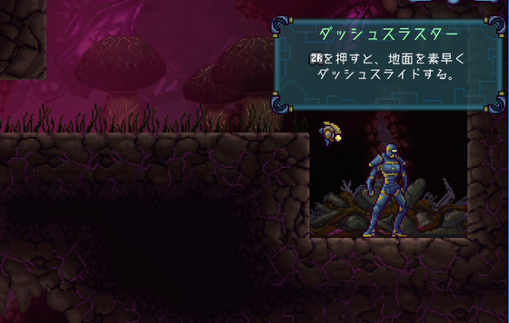 f:id:kumu:20210304233040p:image