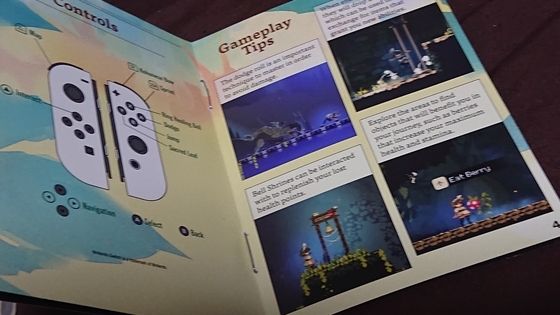 Momodora: 月影のエンドロール パッケージ版 Momodora: 月影のエンドロール