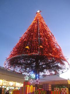 f:id:kumumu:20121223165822j:image f:id:kumumu:20121223165822j:image