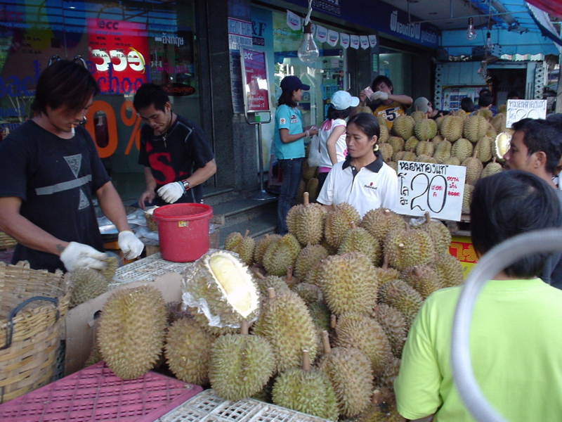 f:id:kun-maa:20050626191953j:plain