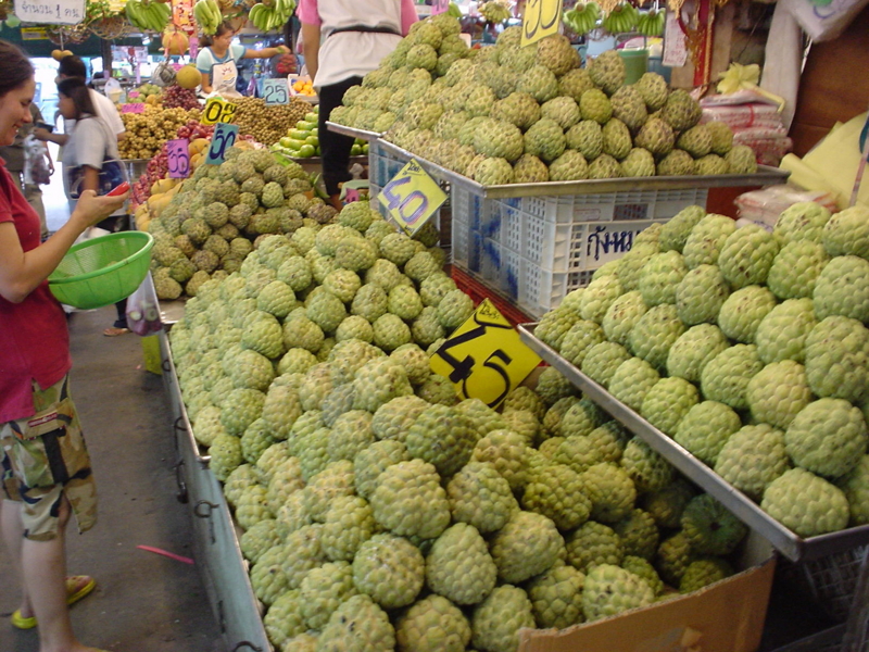 f:id:kun-maa:20050630151223j:plain