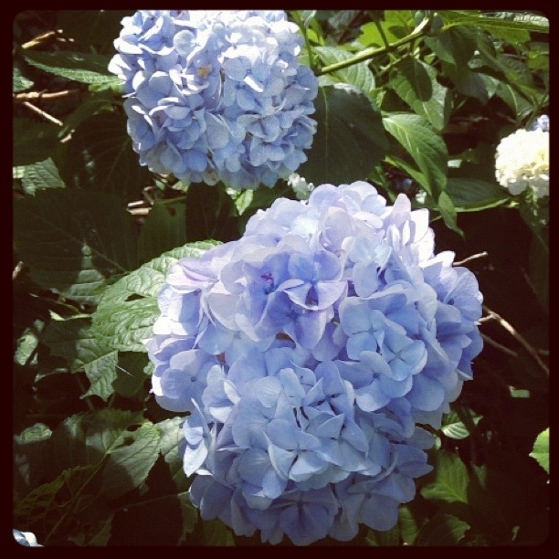 f:id:kun-maa:20120711202104j:plain