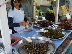 f:id:kun-maa:20120816220128j:plain