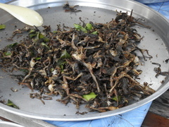 f:id:kun-maa:20120816220340j:plain