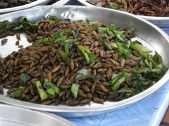 f:id:kun-maa:20120816220617j:plain