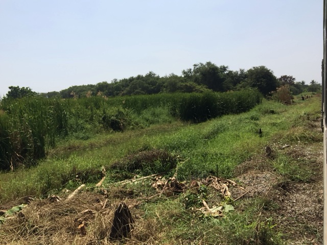 f:id:kun-maa:20140209124433j:plain