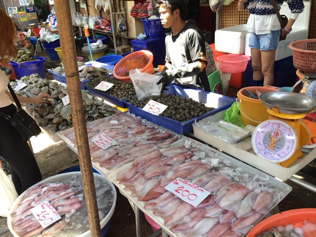 f:id:kun-maa:20140209131948j:plain