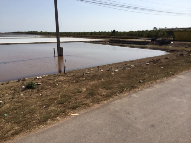 f:id:kun-maa:20140209143923j:plain