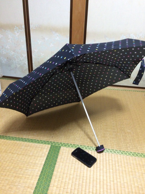 f:id:kun-maa:20140530204840j:plain f:id:kun-maa:20140530204840j:plain
