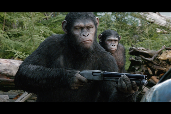 f:id:kun-maa:20140923115915j:plain