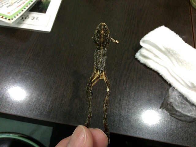 f:id:kun-maa:20160119205941j:plain