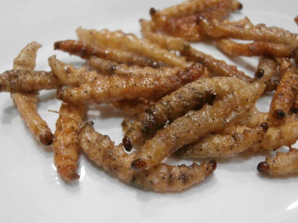 f:id:kun-maa:20160122194815j:plain