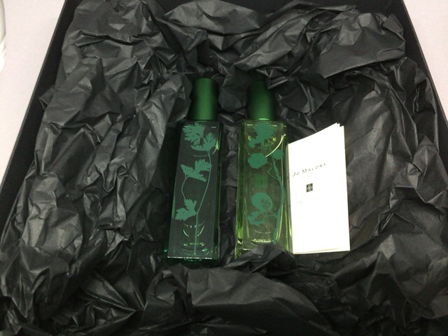 f:id:kun-maa:20160308191225j:plain f:id:kun-maa:20160308191225j:plain