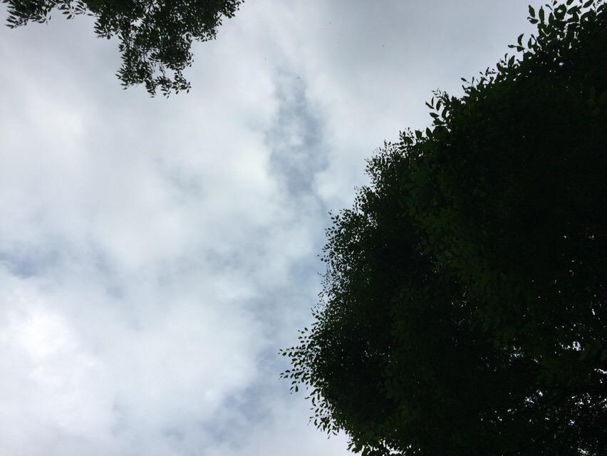 f:id:kun-maa:20160811163033j:plain f:id:kun-maa:20160811163033j:plain