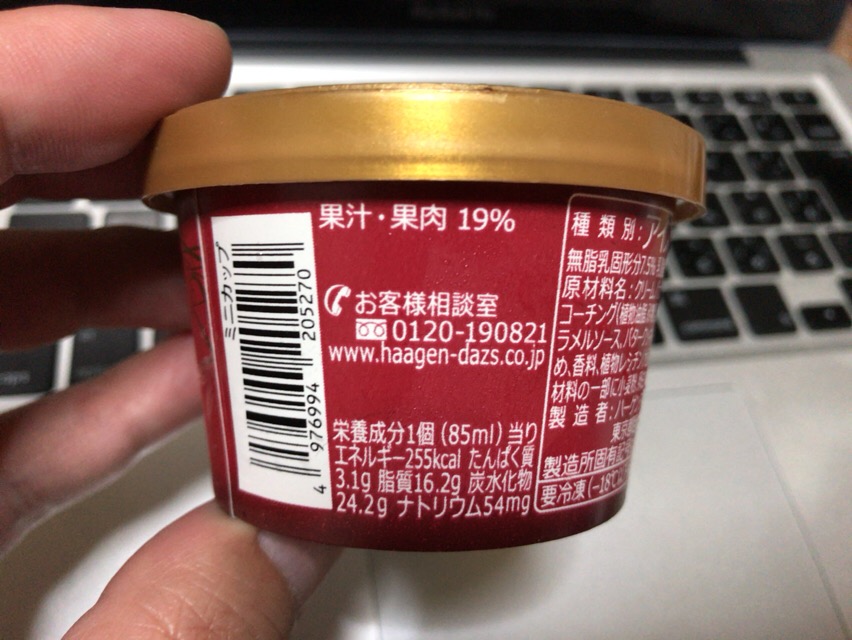 f:id:kun-maa:20161112001150j:plain