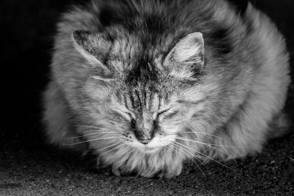 f:id:kun-maa:20171114184517j:plain f:id:kun-maa:20171114184517j:plain