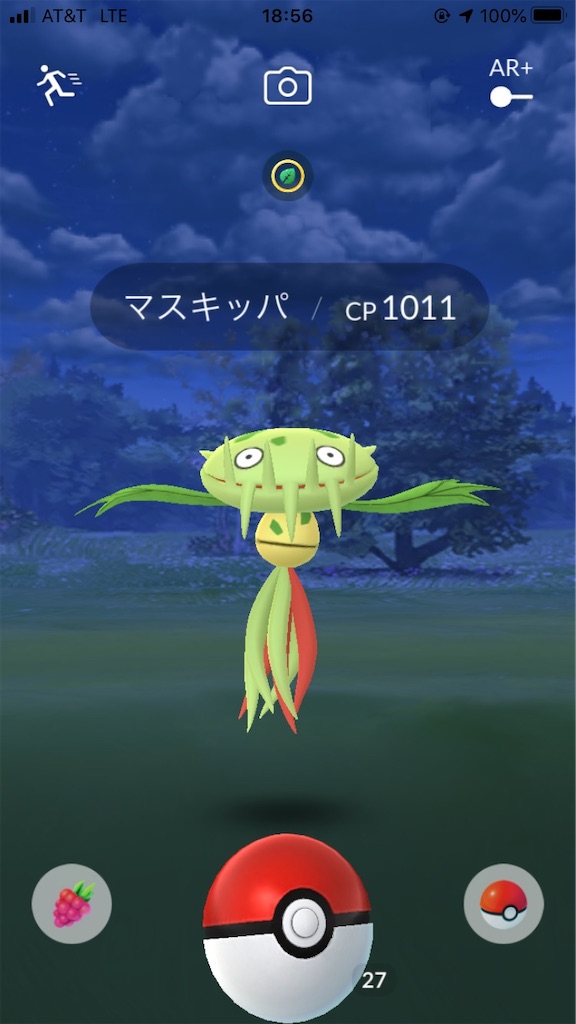 ポケモン追い求めて フロリダへ アルフの遺跡
