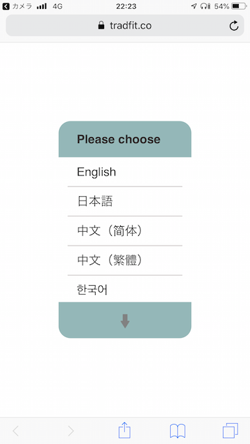 f:id:kun432:20190213011753p:plain