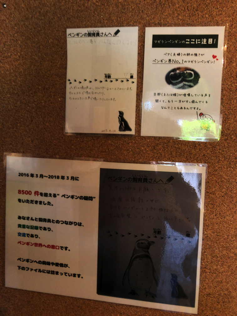 f:id:kun432:20190610015537j:plain