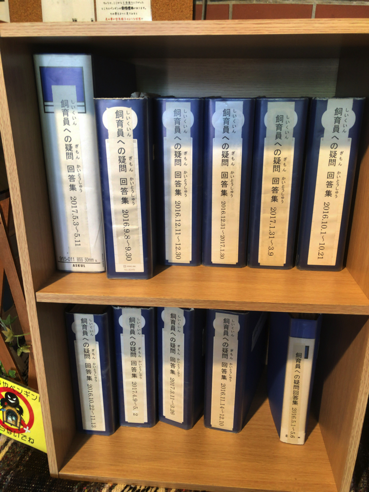 f:id:kun432:20190610015832j:plain
